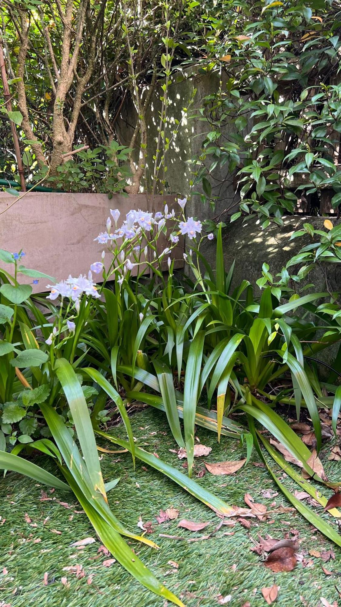 Garden Suite Bolzano Exterior photo